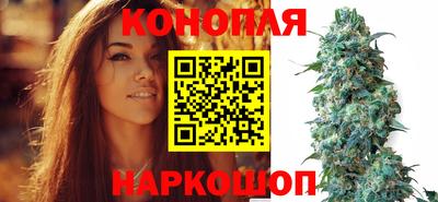таблы Славгород