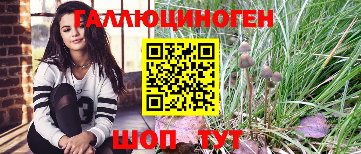 Псилоцибиновые грибы прущие грибы Павловский Посад