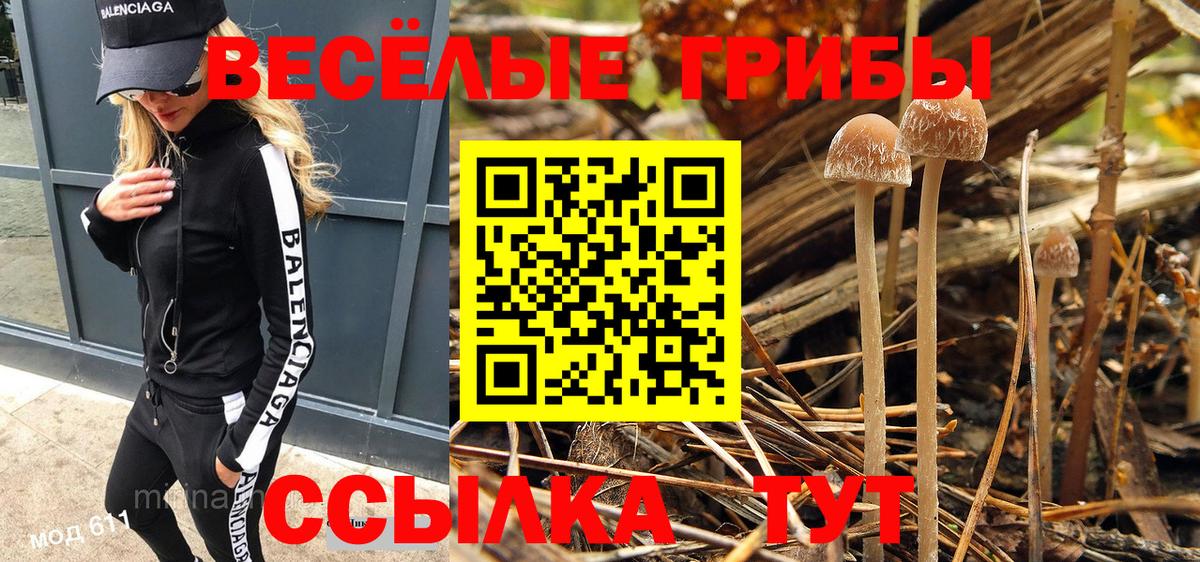 Галлюциногенные грибы Cubensis  Вход с VPN  Павловский Посад 